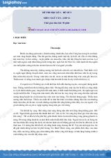 Đề thi học kì 2 Văn 11 - Đề số 9